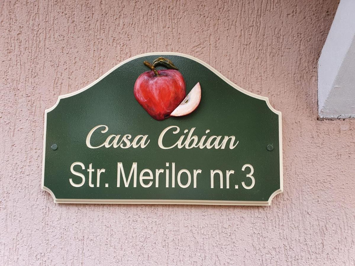 Casa Cibian Appartement Braşov Buitenkant foto