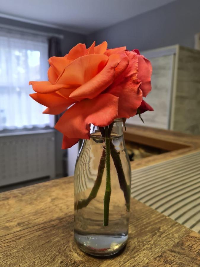 Casa Cibian Appartement Braşov Buitenkant foto
